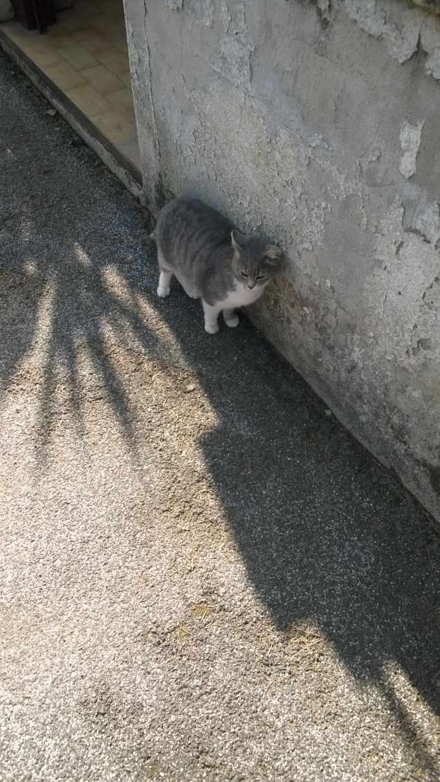 La meraviglia sei tu.