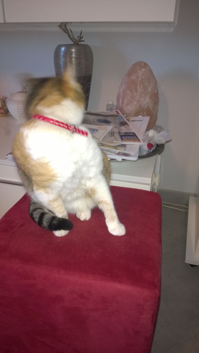 Guardiamoci le spalle.