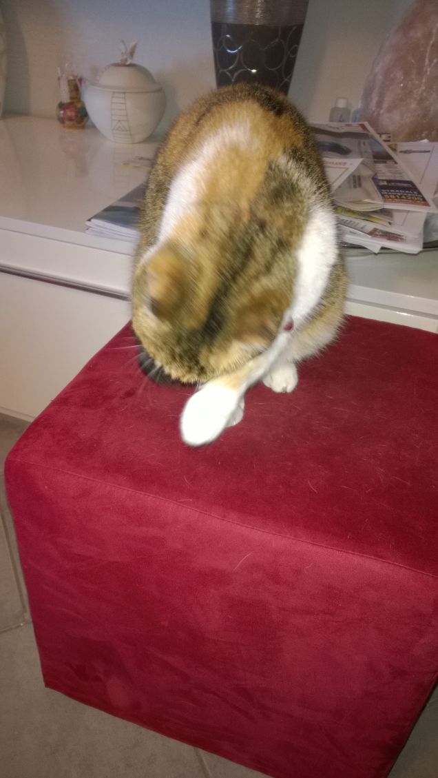 Operazioni di pulizia.