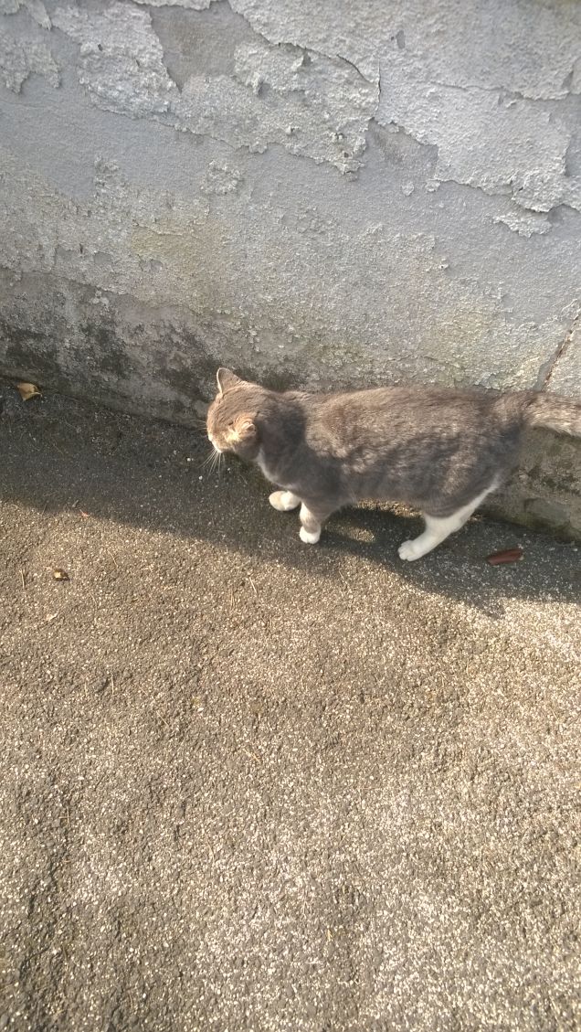 Siamo di nuovo qui10