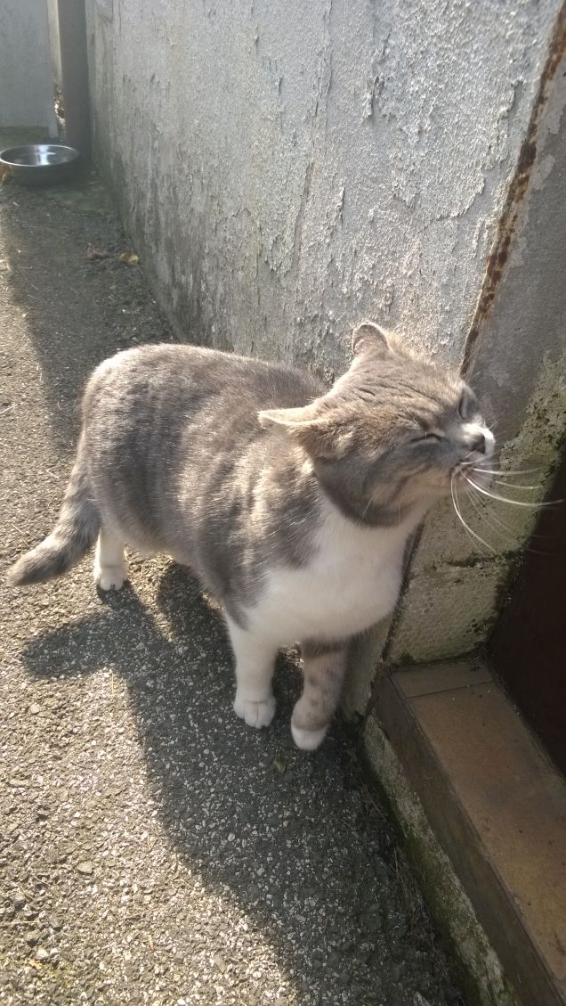 Siamo di nuovo qui11