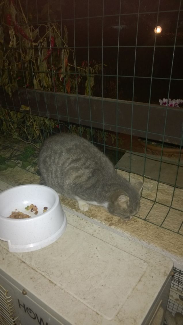 Pioveva e faceva freddo.