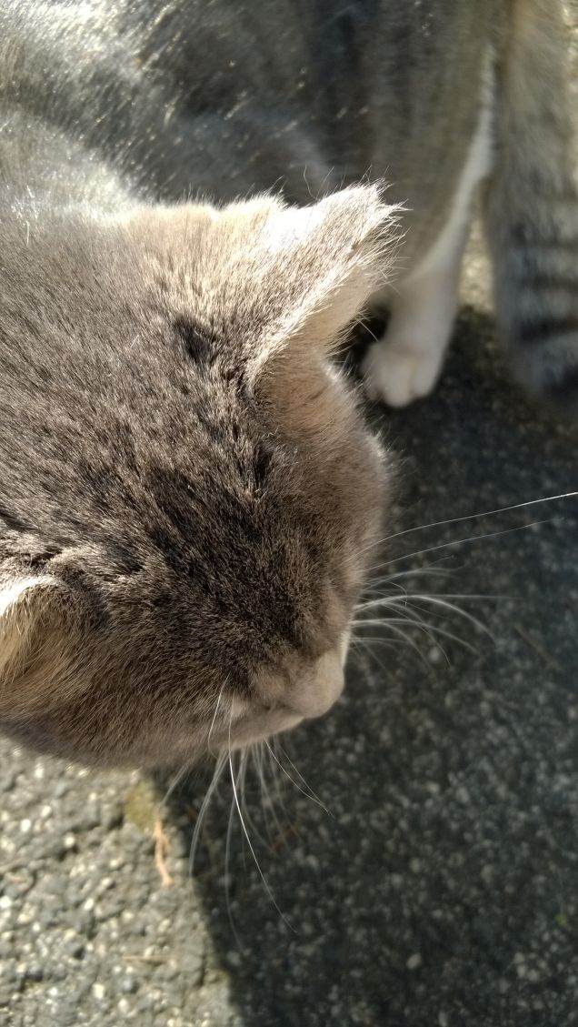 L'amore è...grigio1