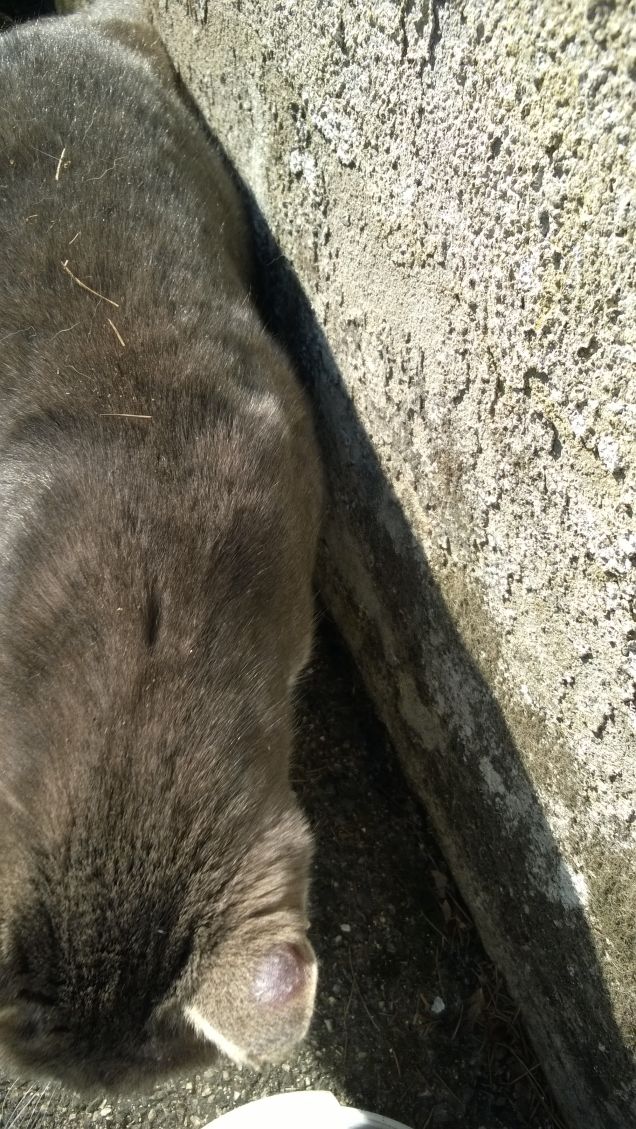 L'amore è...grigio2