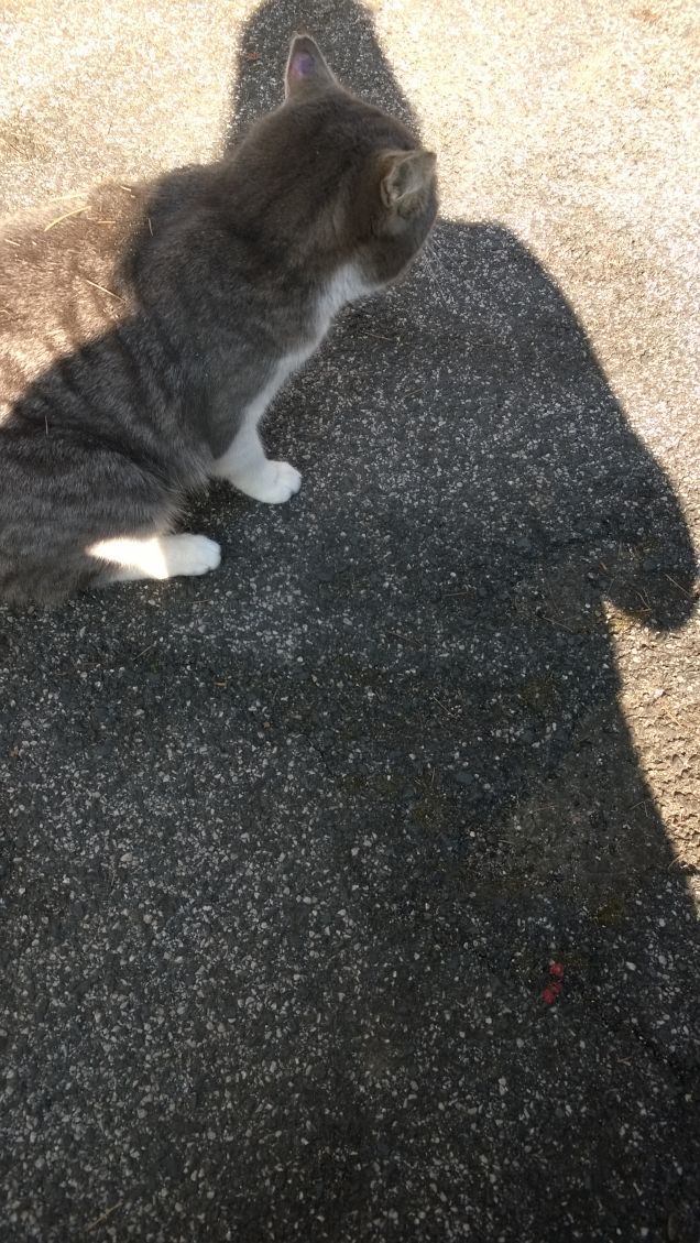 L'amore è...grigio3