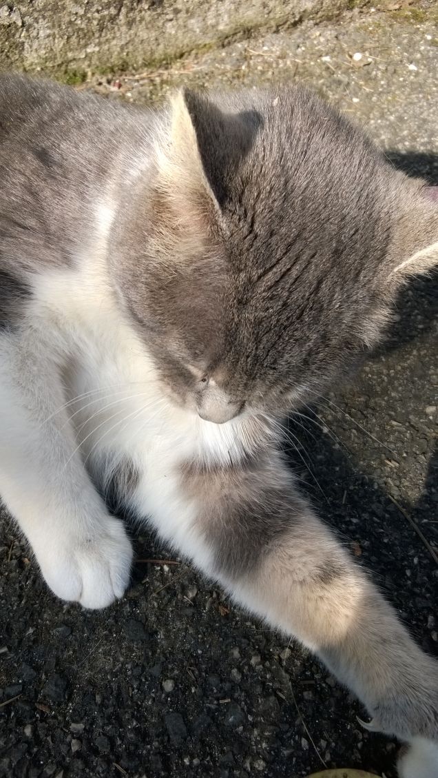 L'amore è...grigio4