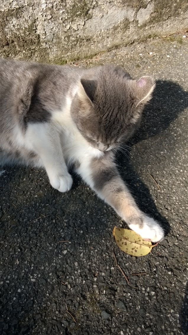 L'amore è...grigio5