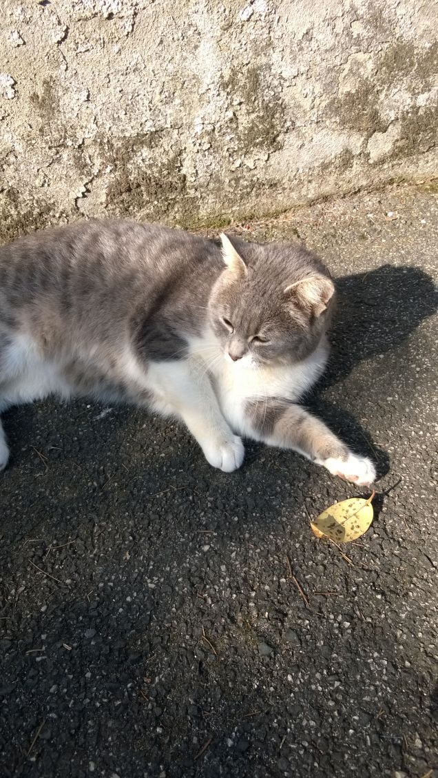 L'amore è...grigio7