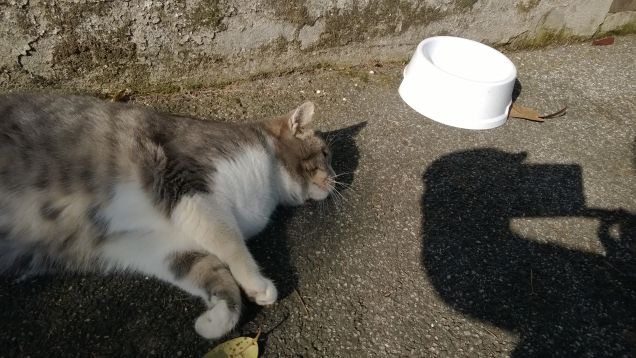 L'amore è...grigio8