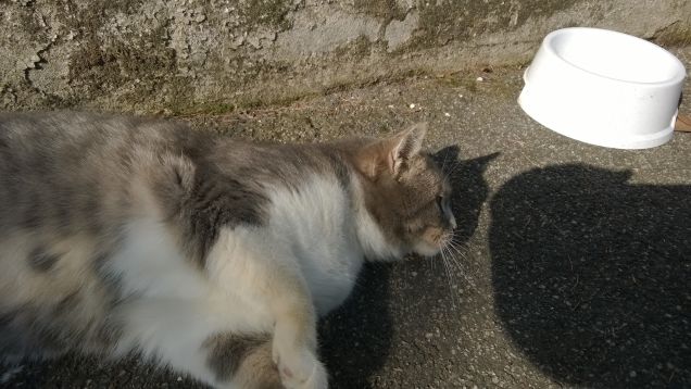 L'amore è...grigio9