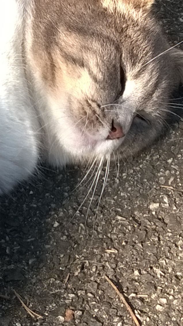 L'amore è...grigio11