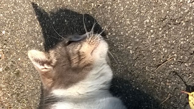 L'amore è...grigio12