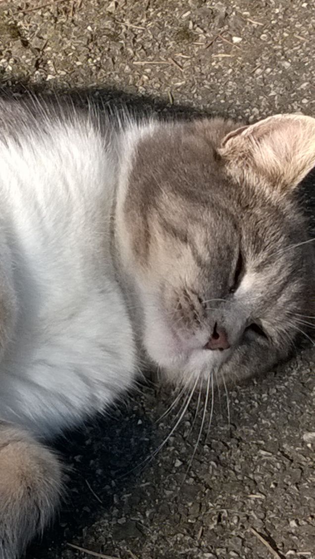 L'amore è...grigio13