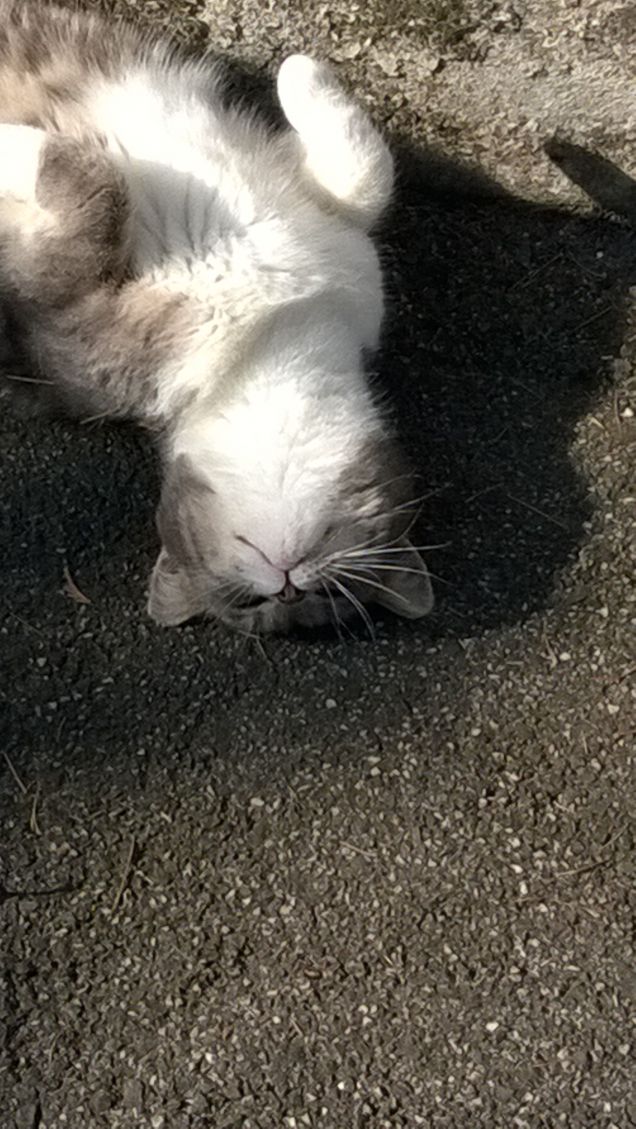 L'amore è...grigio17