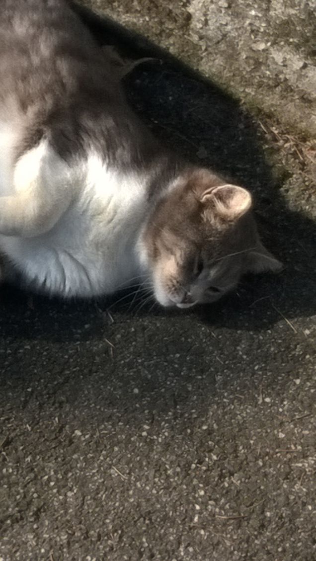 L'amore è...grigio18