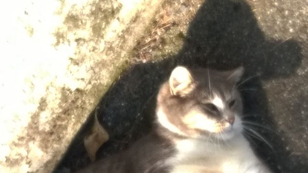 L'amore è...grigio19