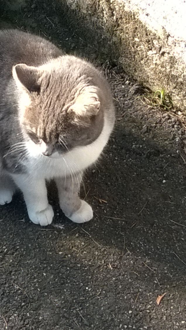 L'amore è...grigio21