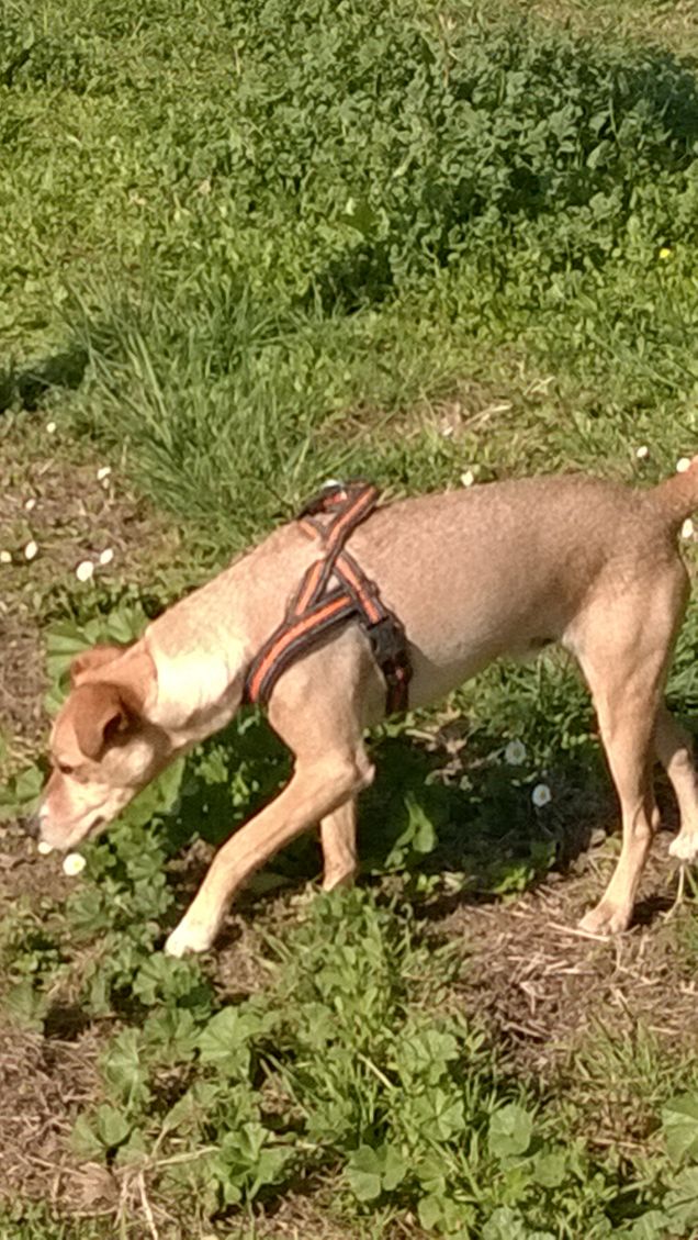 Una mattina al parco2