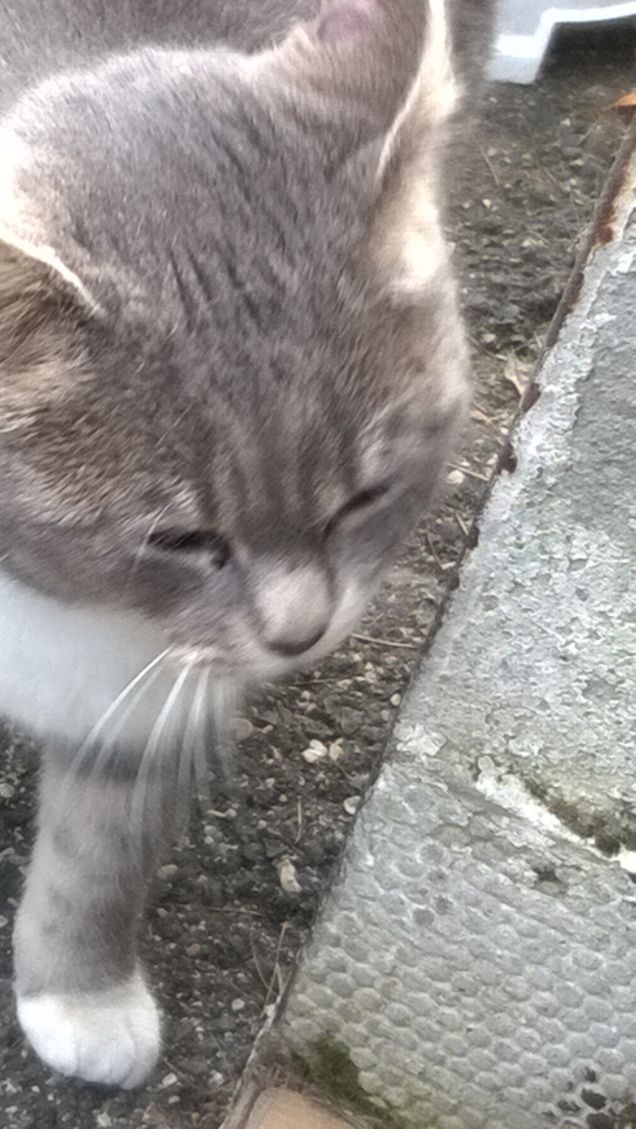 Bella sono bella, non c'è che dire.
