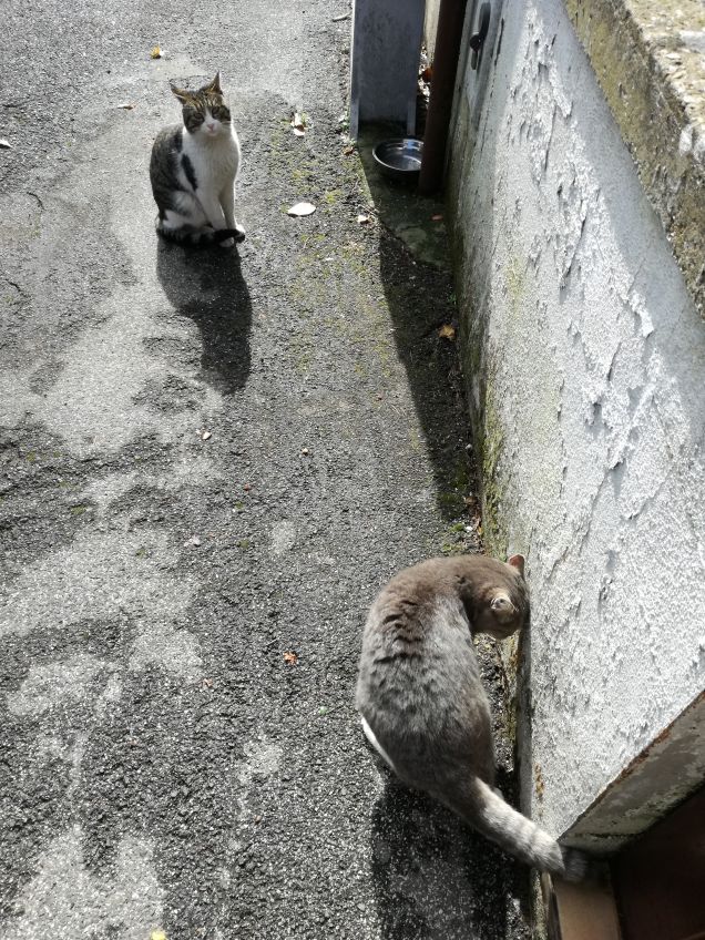 In dirittura di arrivo1