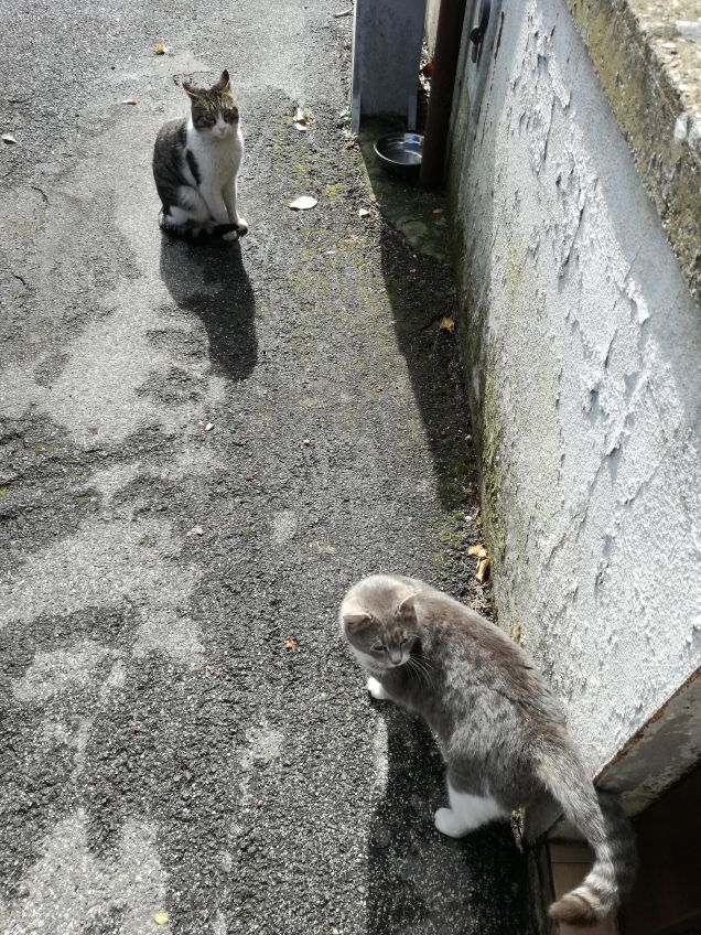 In dirittura di arrivo2