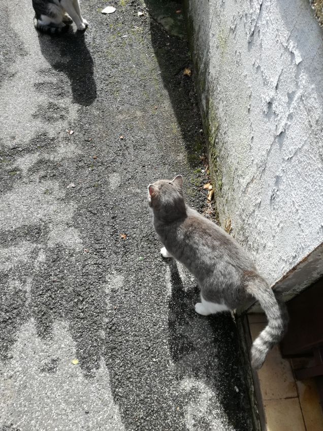 In dirittura di arrivo3