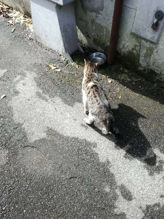 In dirittura di arrivo4