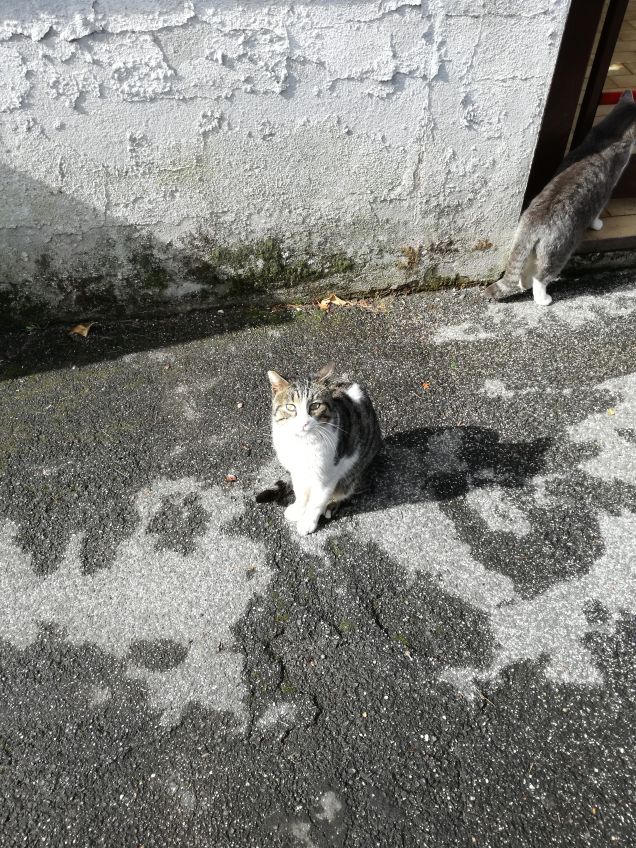 In dirittura di arrivo6