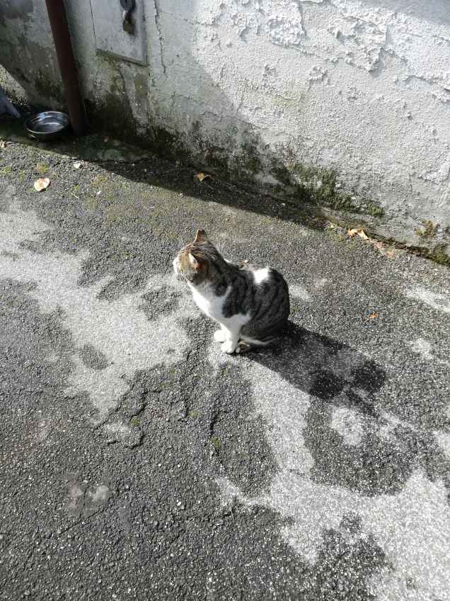 In dirittura di arrivo7