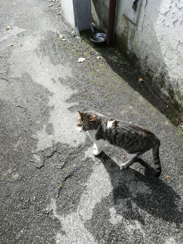 In dirittura di arrivo9