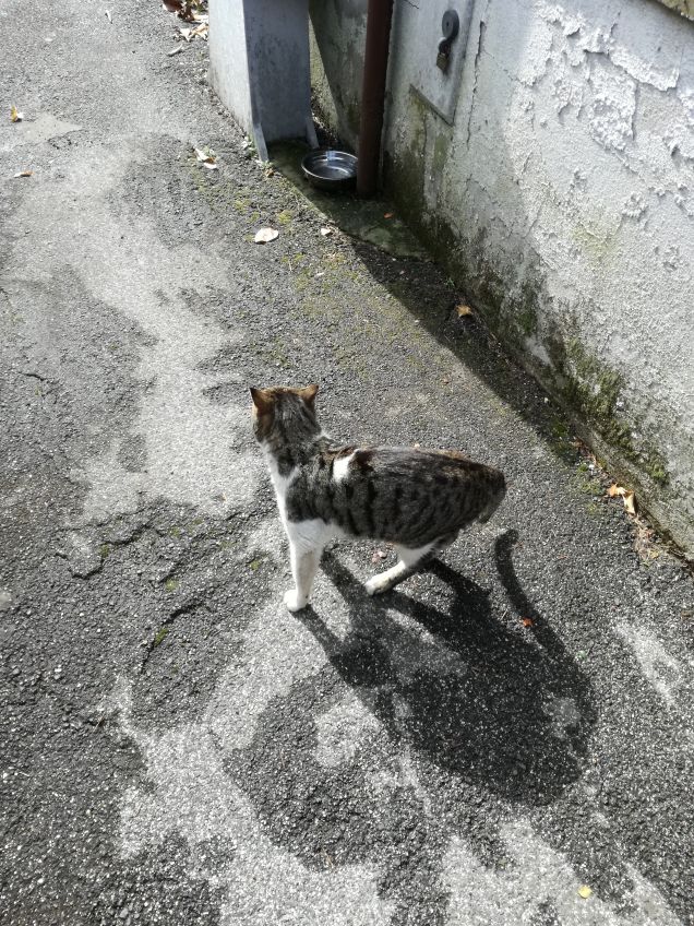 In dirittura di arrivo10