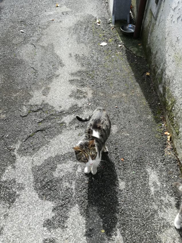 In dirittura di arrivo11