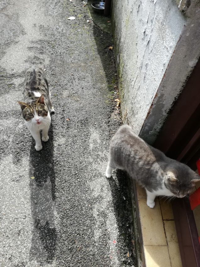 In dirittura di arrivo12