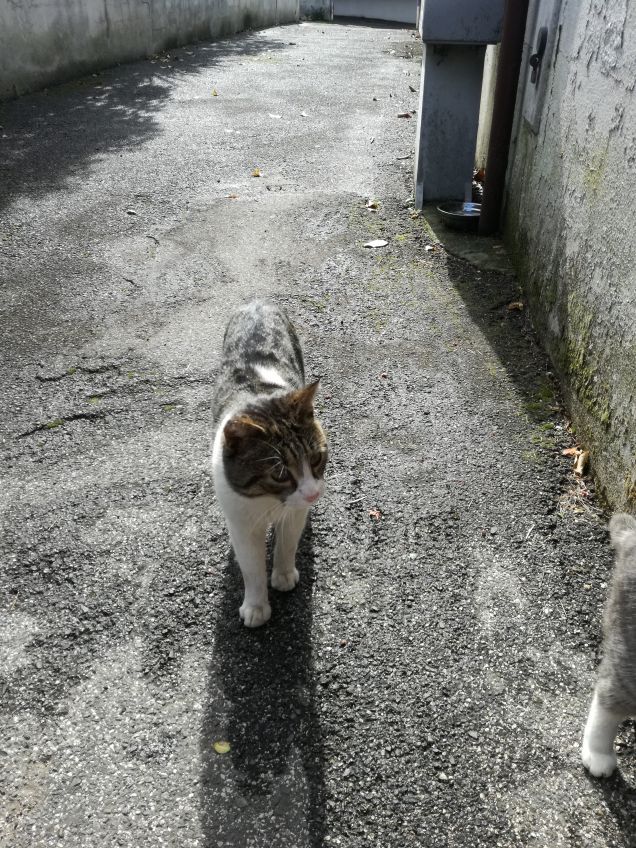 In dirittura di arrivo13