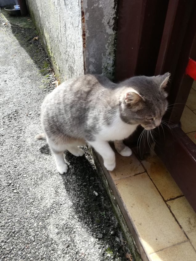 In dirittura di arrivo14