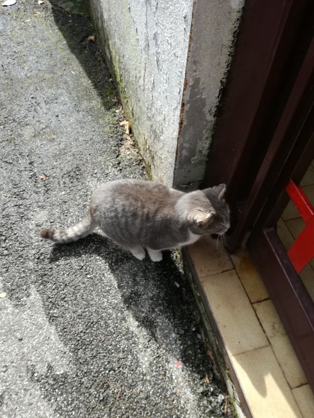 In dirittura di arrivo15