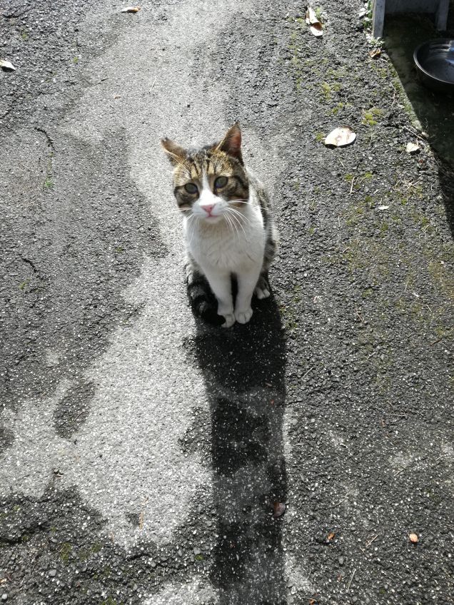 In dirittura di arrivo18