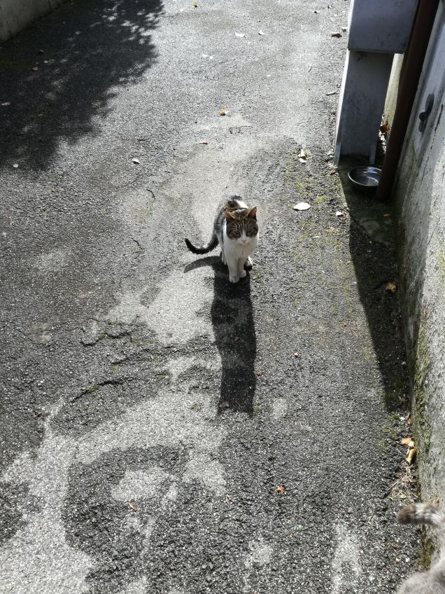 In dirittura di arrivo20