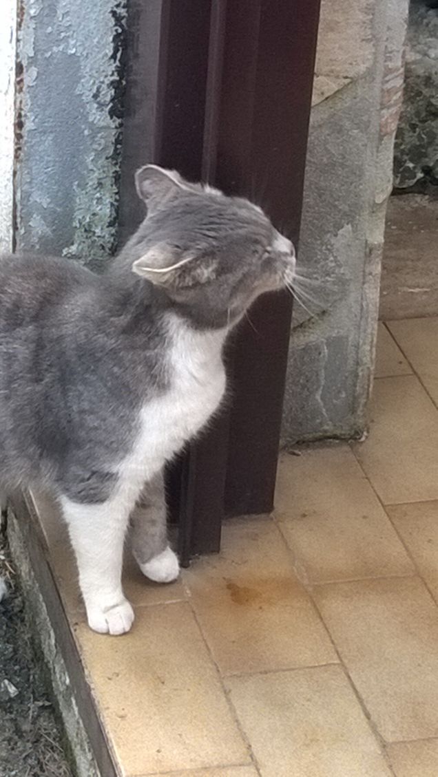 Toc toc c'è nessuno?2