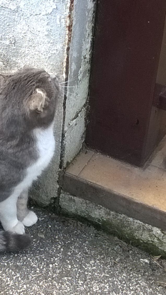 Toc toc c'è nessuno?3