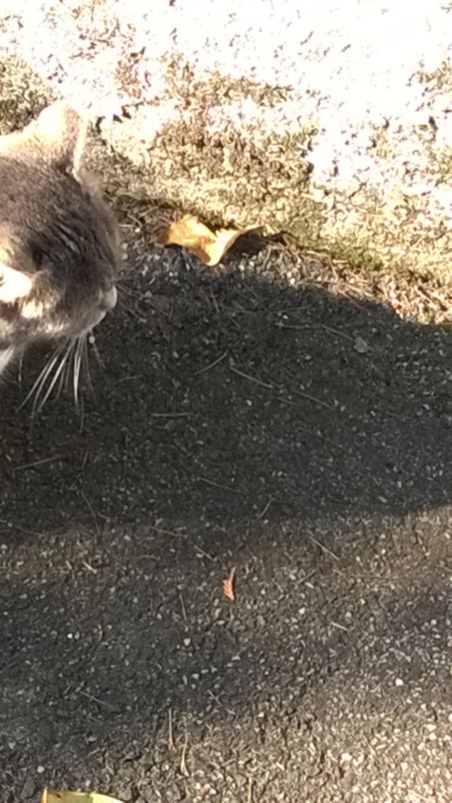 Toc toc c'è nessuno?6