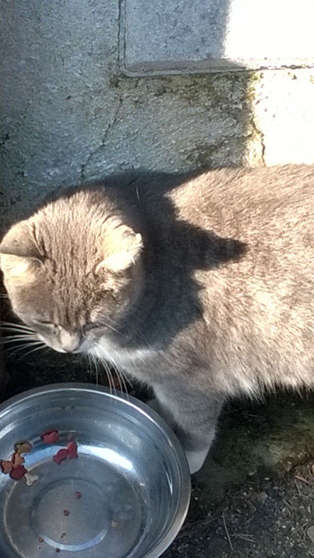 Toc toc c'è nessuno?7