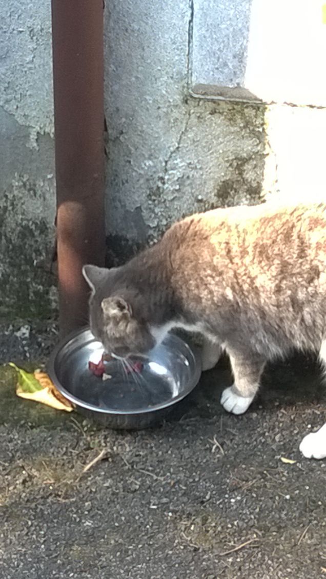 Toc toc c'è nessuno?8