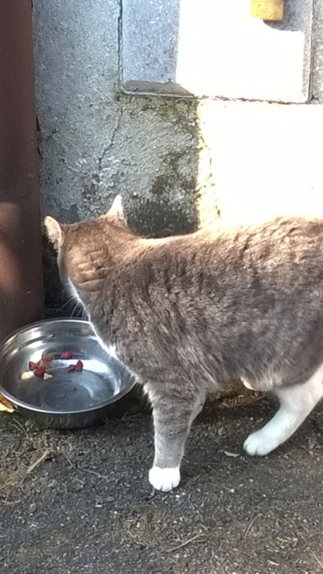 Toc toc c'è nessuno?9