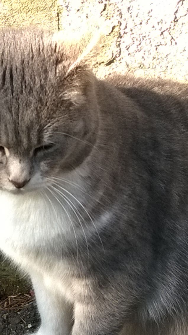 Toc toc c'è nessuno?11