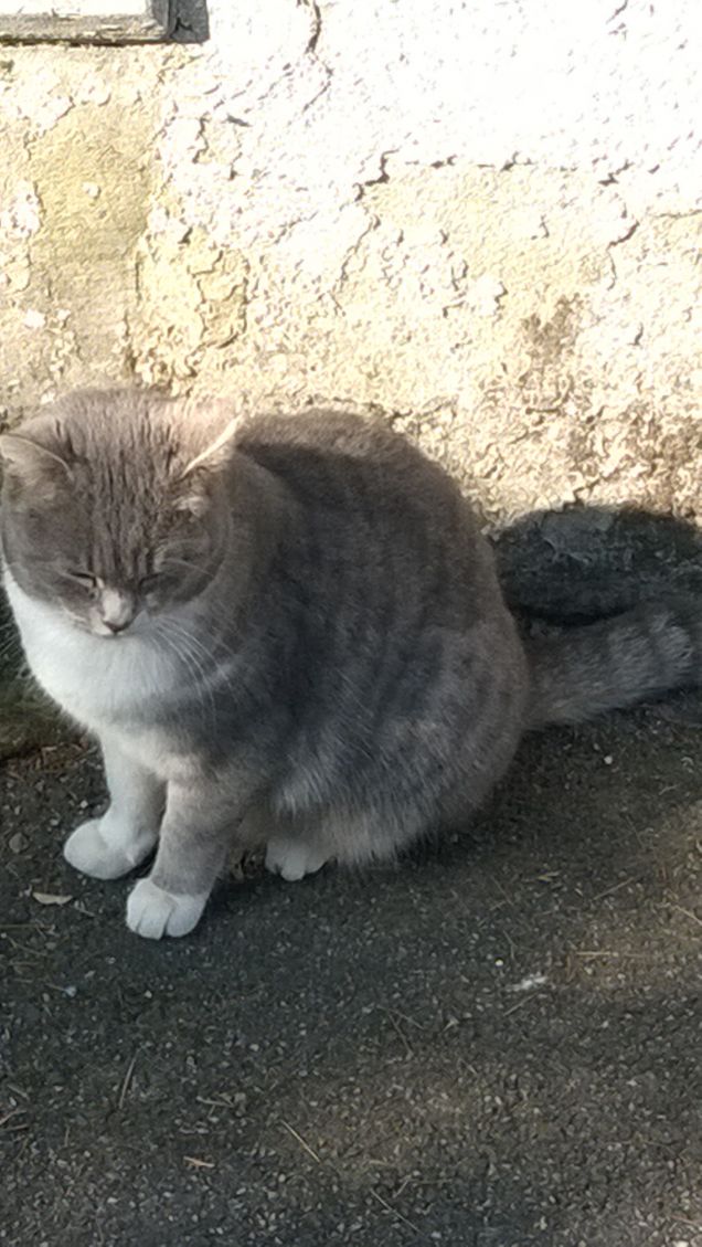 Toc toc c'è nessuno?12