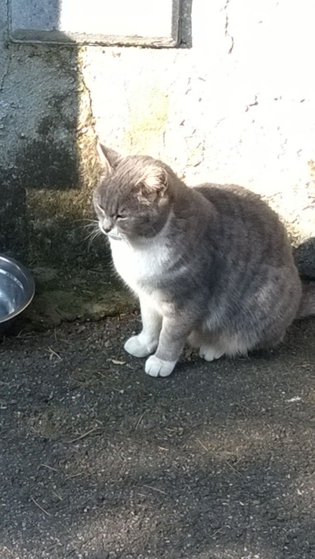 Toc toc c'è nessuno?13