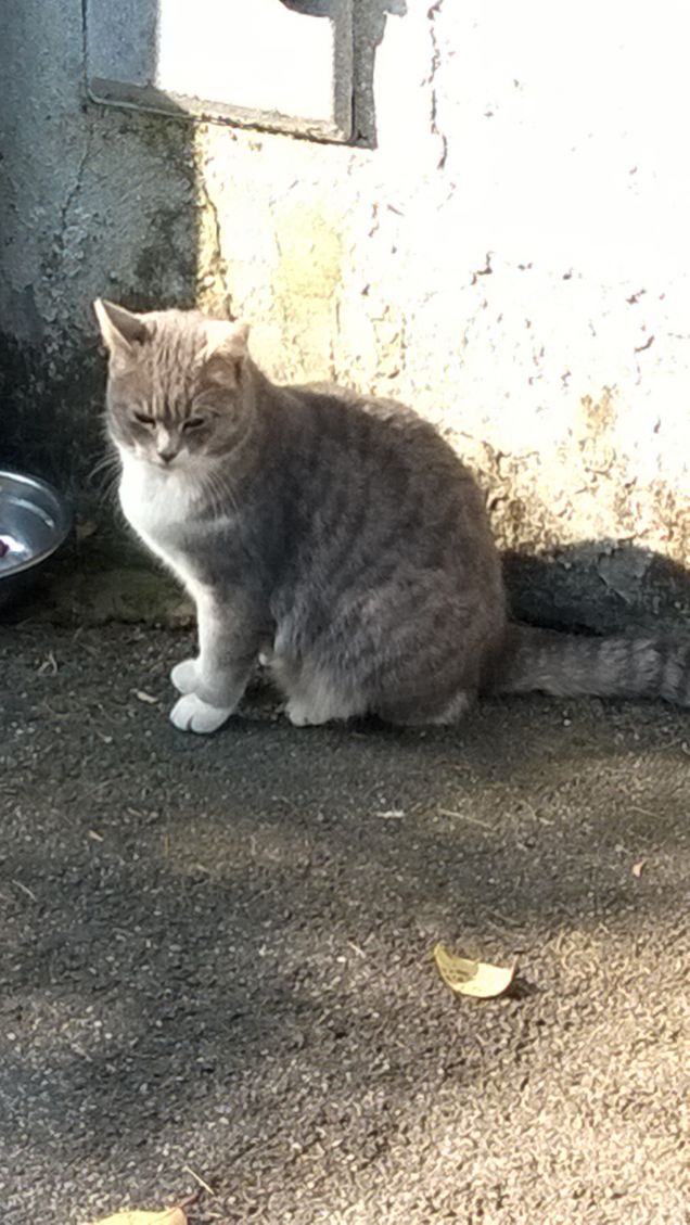 Toc toc c'è nessuno?14