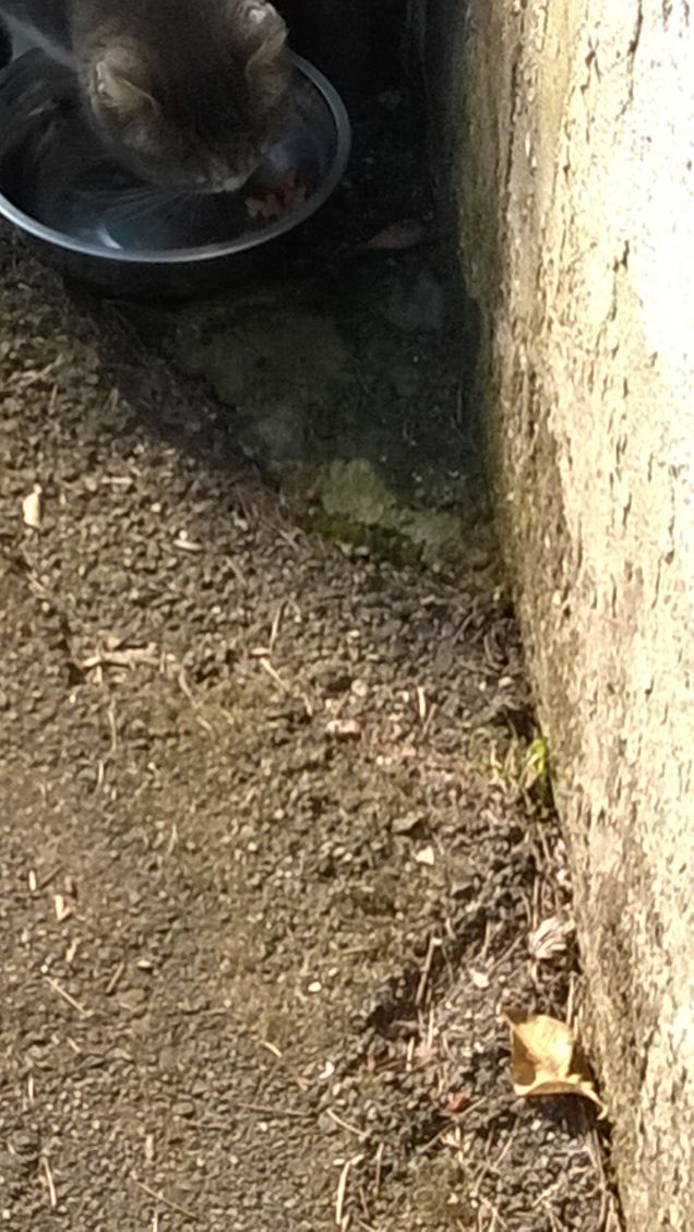 Toc toc c'è nessuno?15