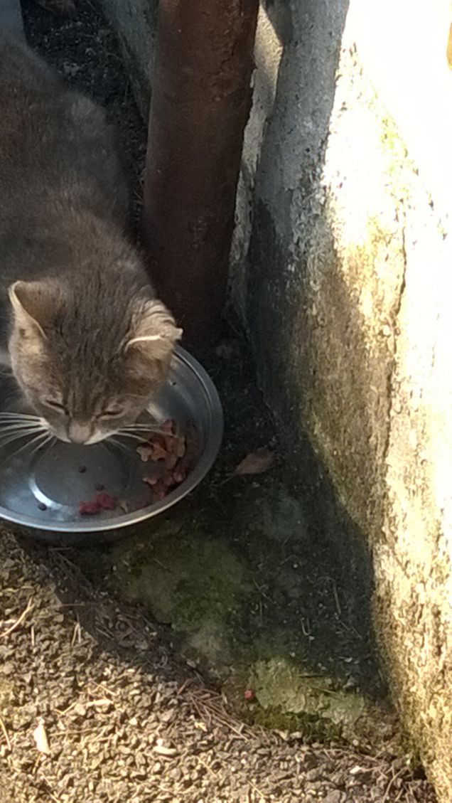 Toc toc c'è nessuno?16